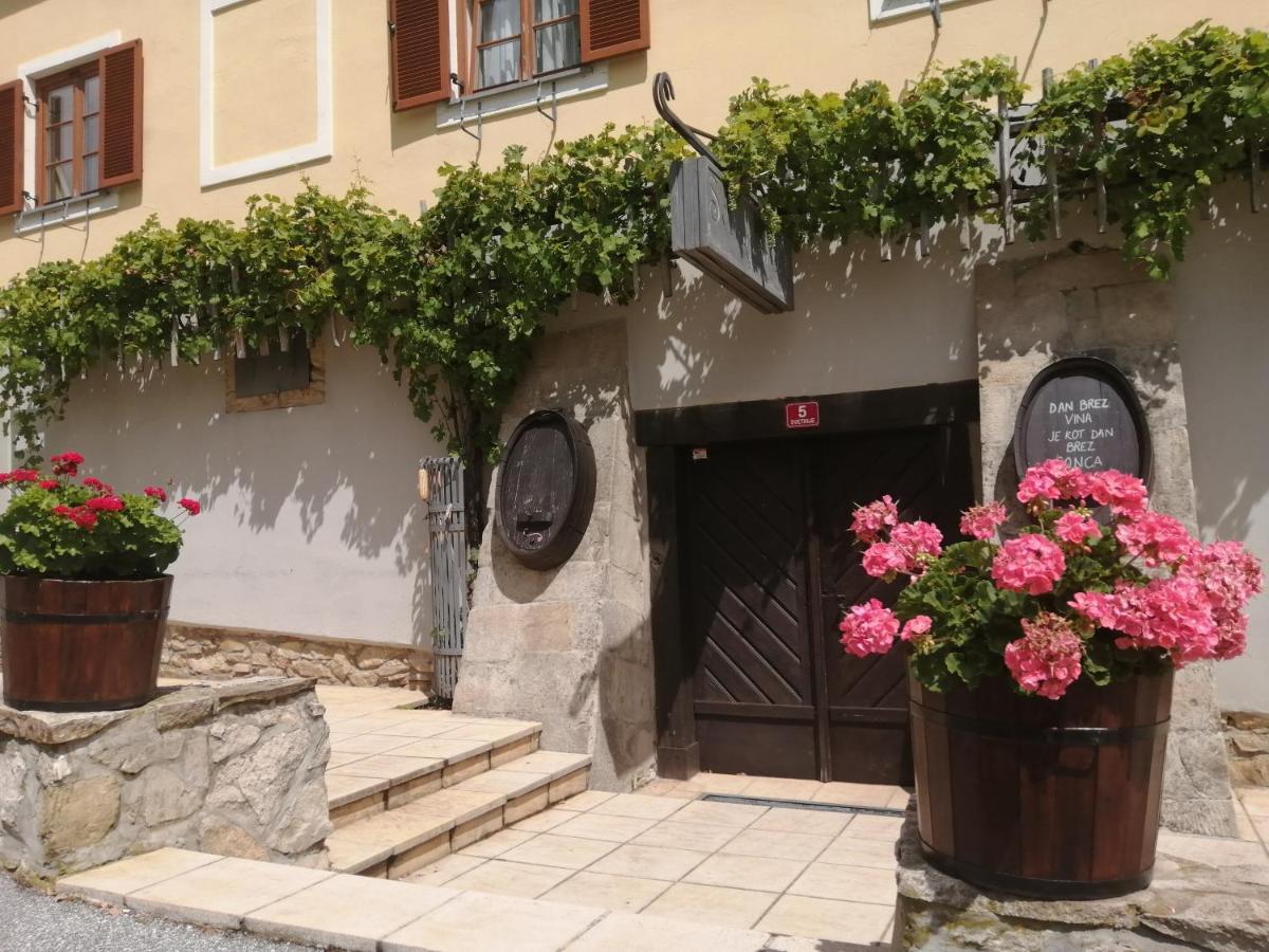 Appartement Apartmaji Svetinje à Ivanjkovci Extérieur photo