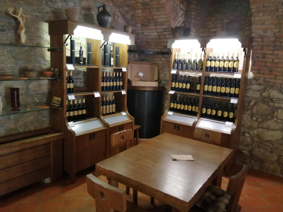 Appartement Apartmaji Svetinje à Ivanjkovci Extérieur photo