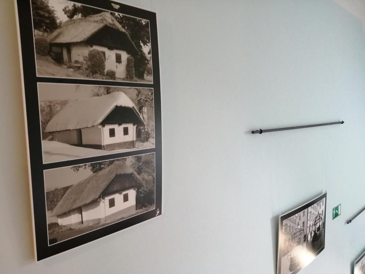 Appartement Apartmaji Svetinje à Ivanjkovci Extérieur photo