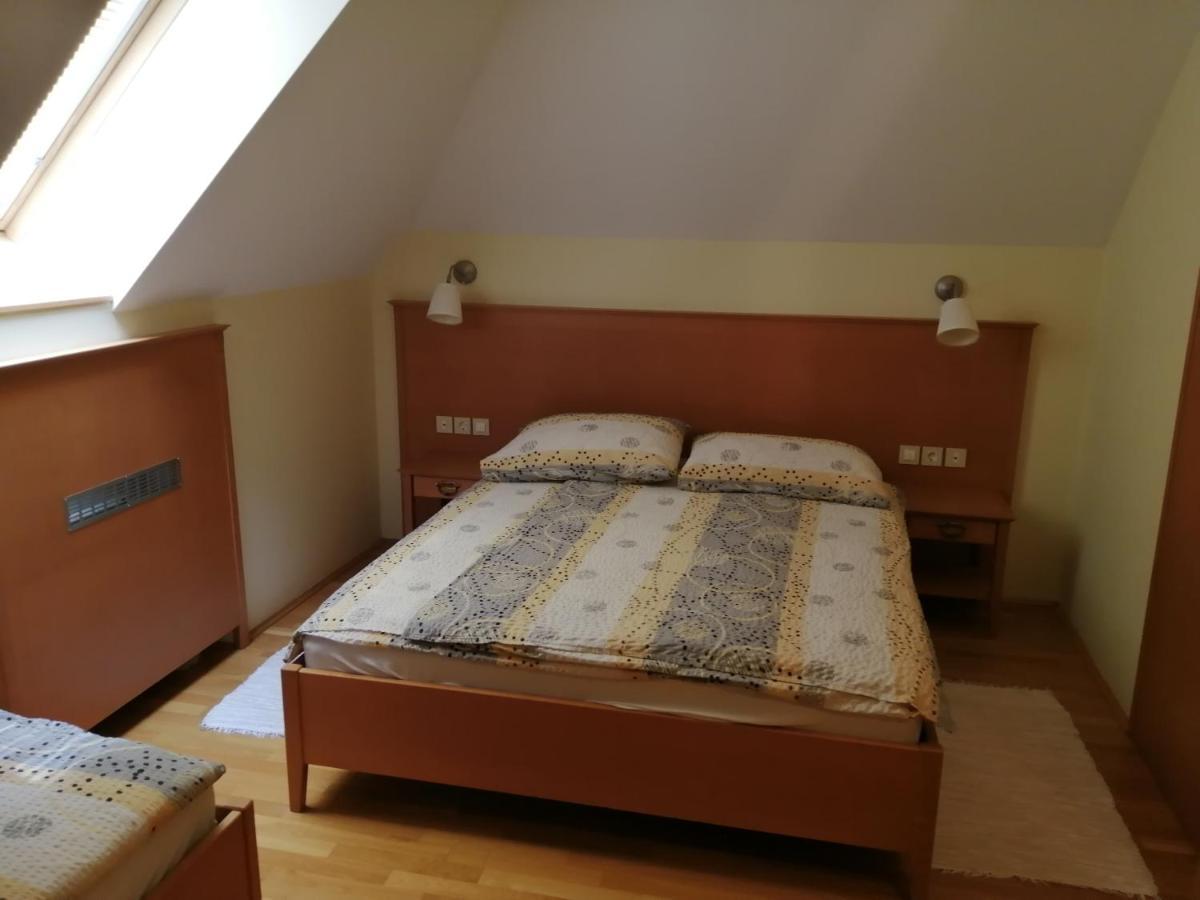 Appartement Apartmaji Svetinje à Ivanjkovci Extérieur photo